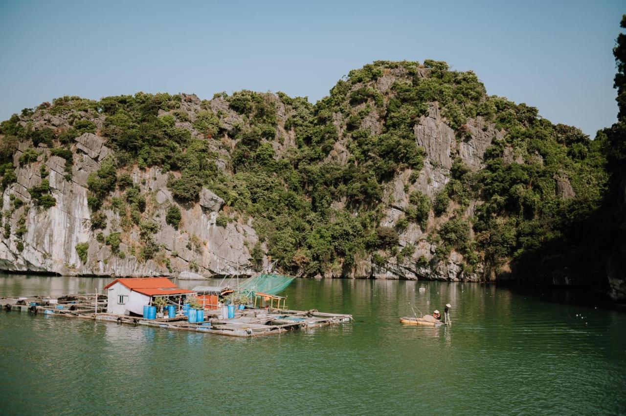 Cat Ba Bay Cruises Otel Dong Khe Sau Dış mekan fotoğraf